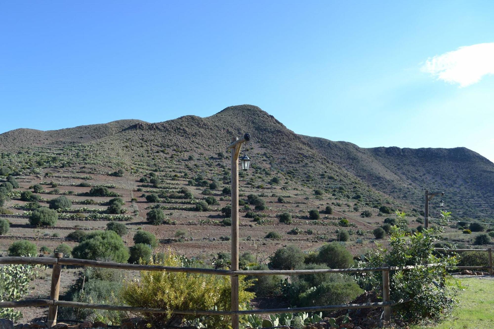 Los Albaricoques Casas Rurales La Minilla المظهر الخارجي الصورة