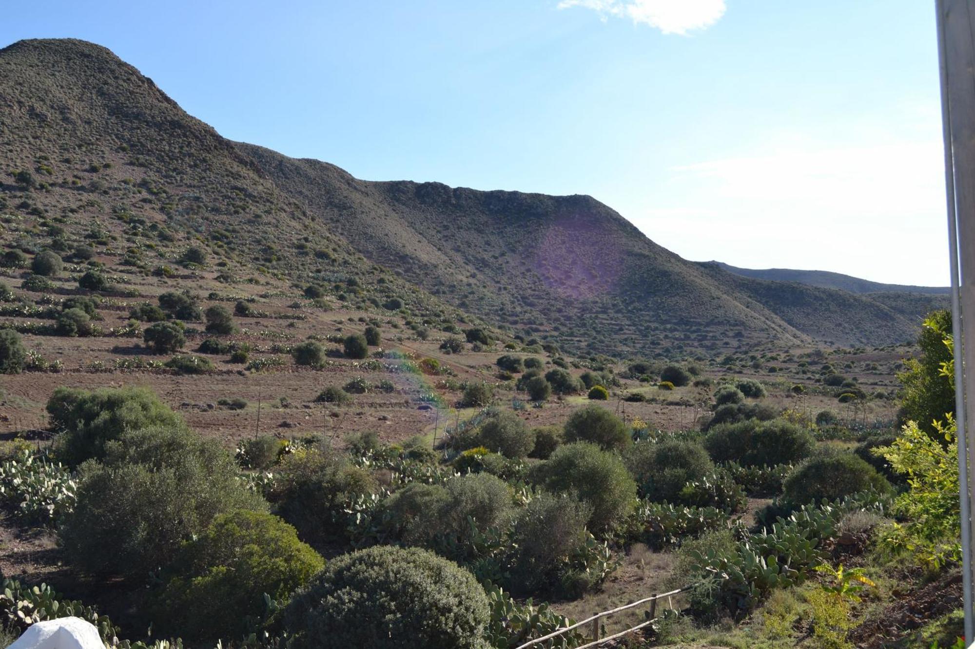 Los Albaricoques Casas Rurales La Minilla المظهر الخارجي الصورة