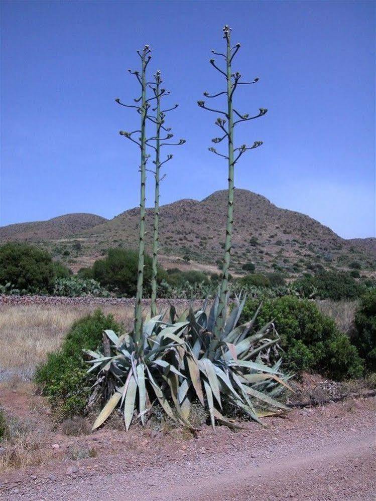 Los Albaricoques Casas Rurales La Minilla المظهر الخارجي الصورة