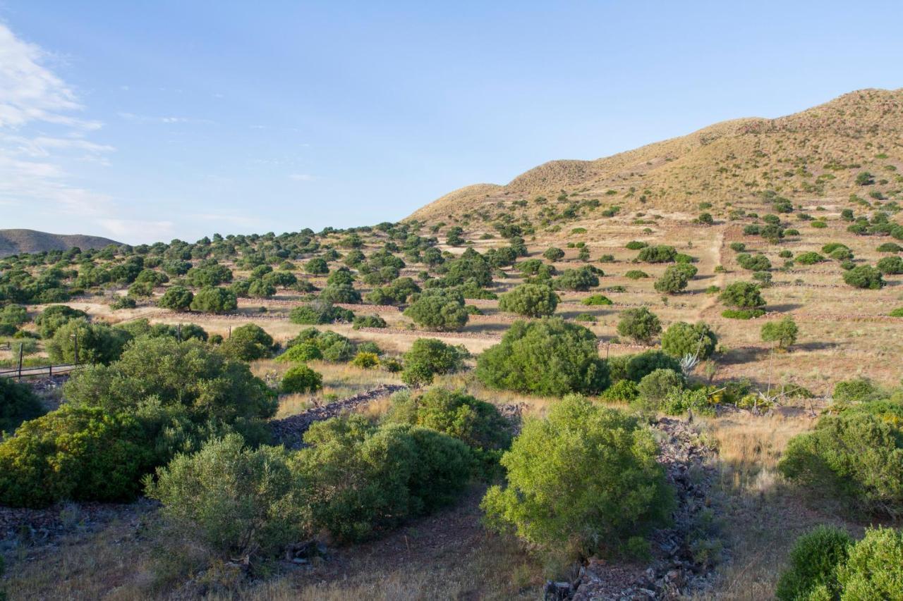 Los Albaricoques Casas Rurales La Minilla المظهر الخارجي الصورة